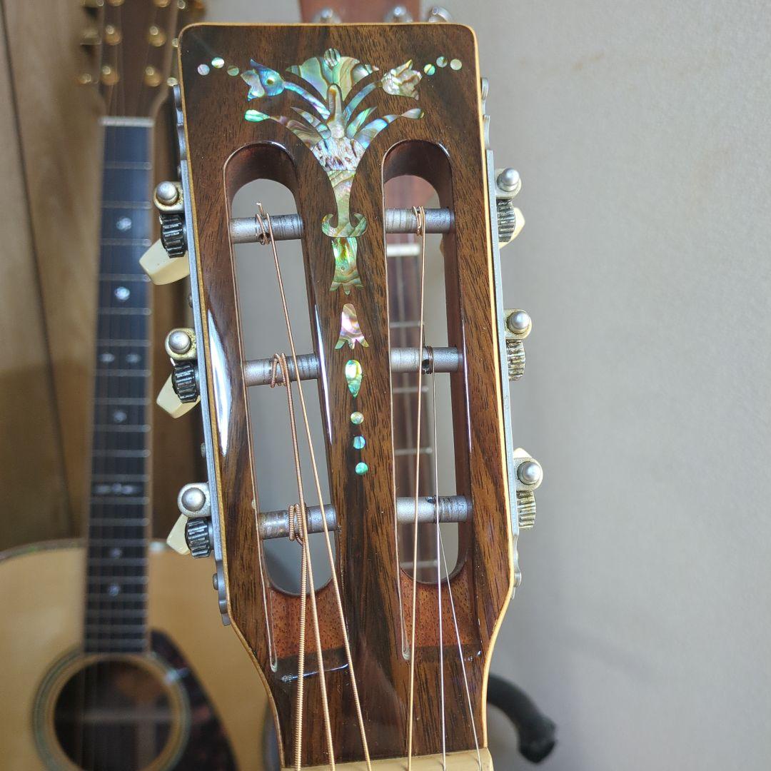 ARIA.希少ADL-05N トップ単板アコースティック ギター