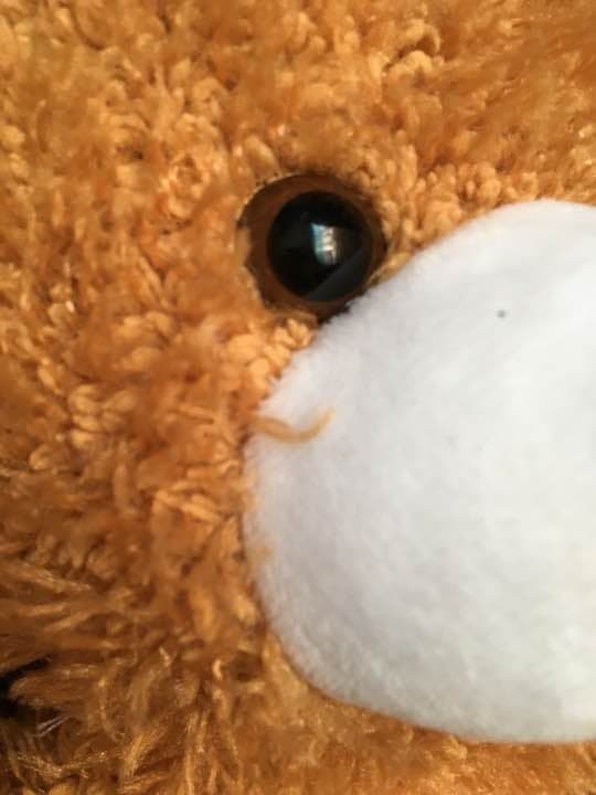 本当にやばいぬいぐるみ