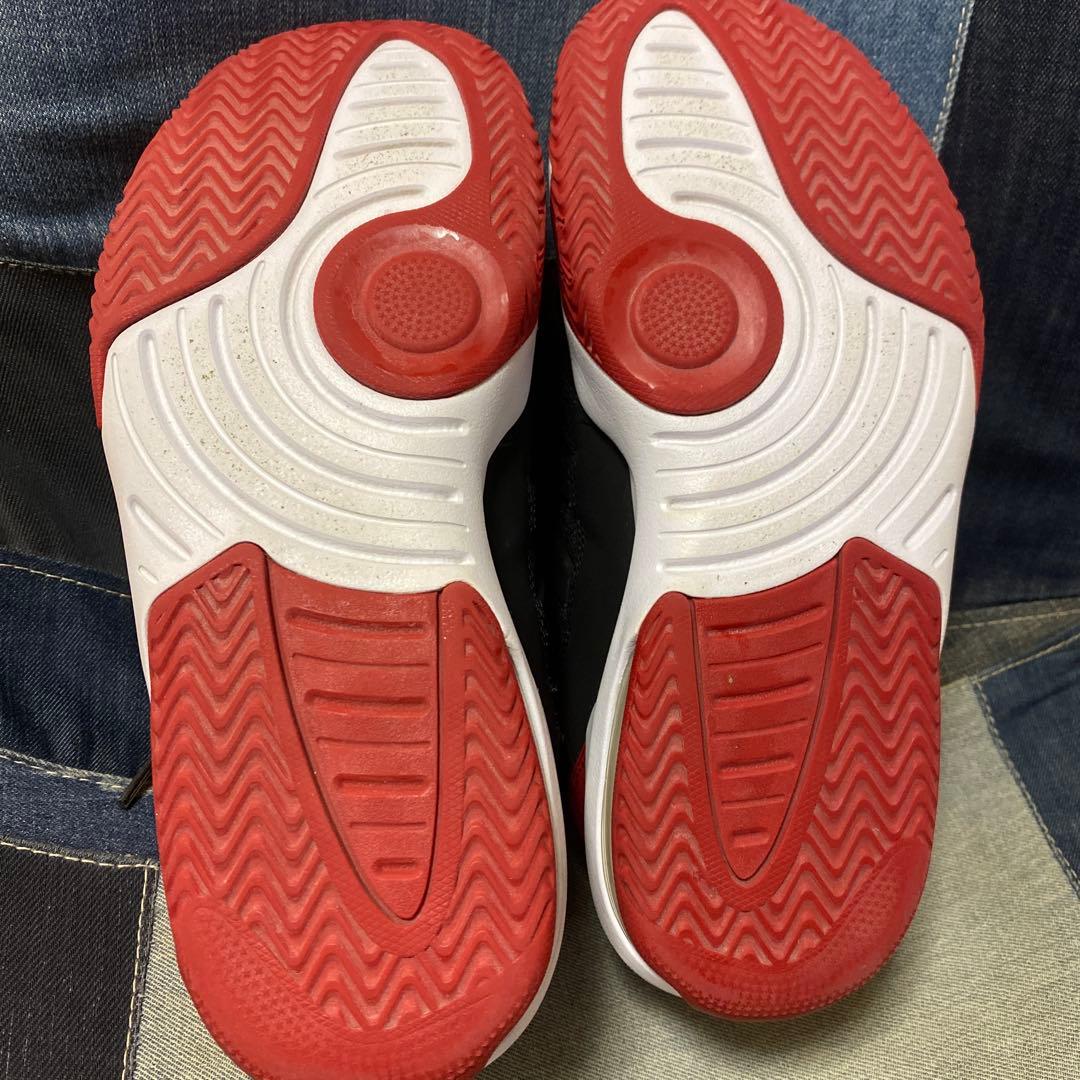 お値下げ★Jordan Max Aura【25.5cm】バスケットボールシューズ