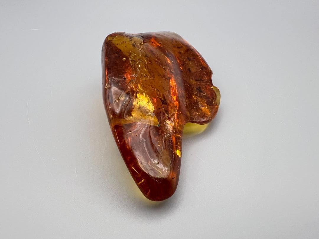 虫入り琥珀　蚊　蟻　多種多様な虫を大量内包　バルティックアンバー　バルト海沿岸