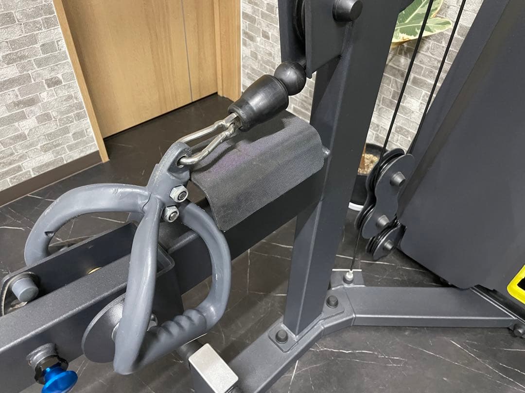 エボルギア　ラッドプルダウン