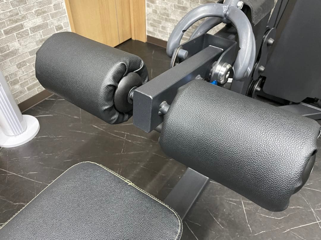 エボルギア　ラッドプルダウン