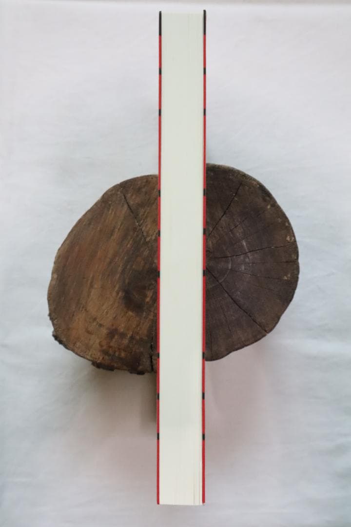 新訂 現代易入門 開運法 井田成明著