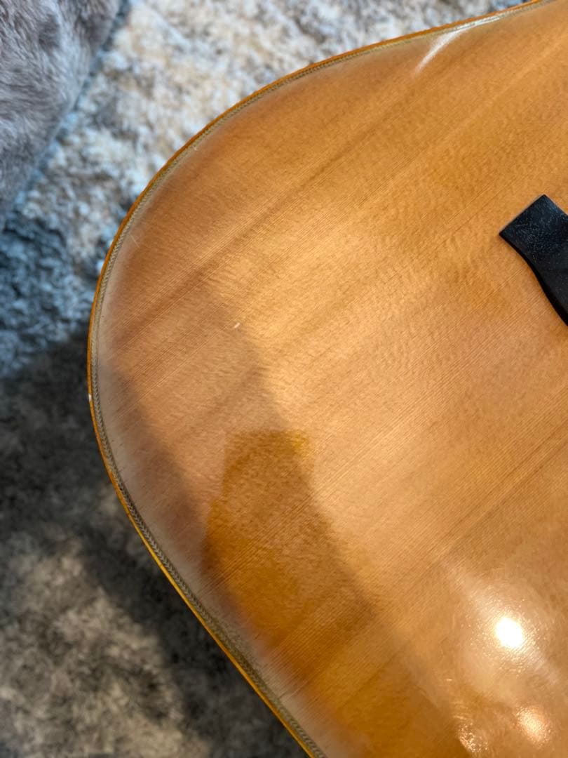 松岡良治　GR-50 エレアコ仕様