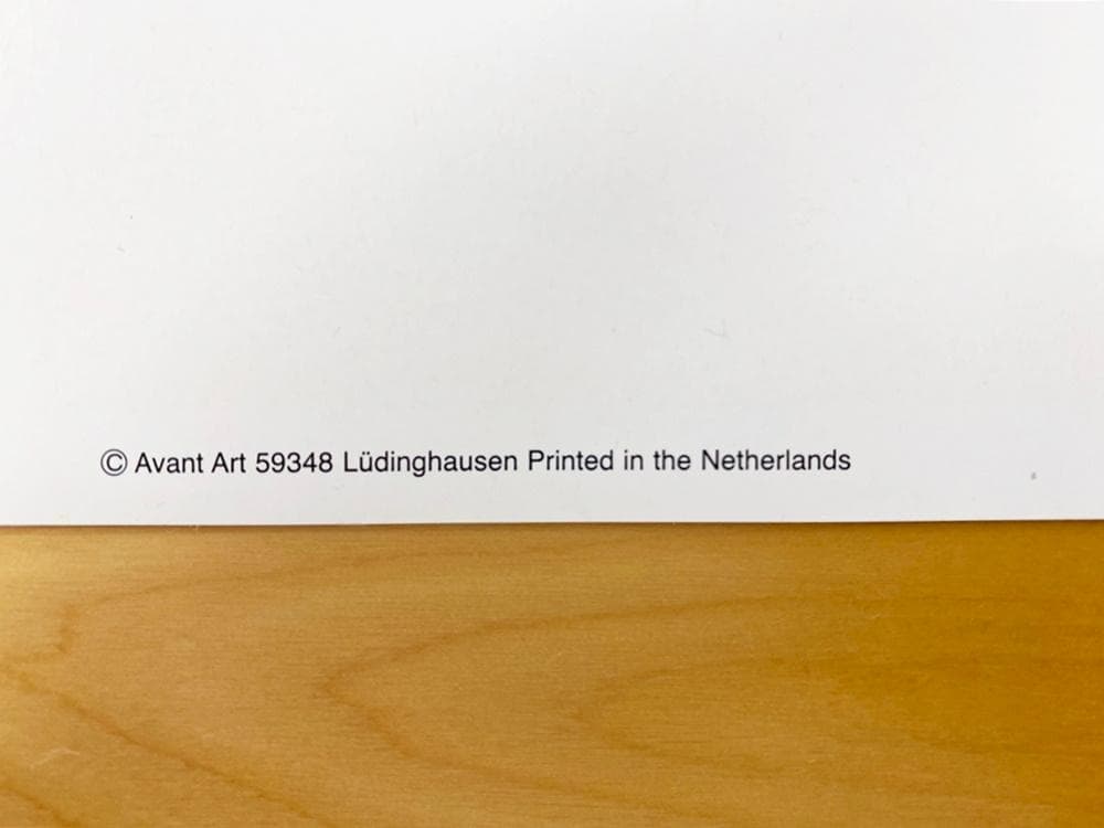 超特大ポスターA.A.Gockel専用額縁付き　Avant Art 59348