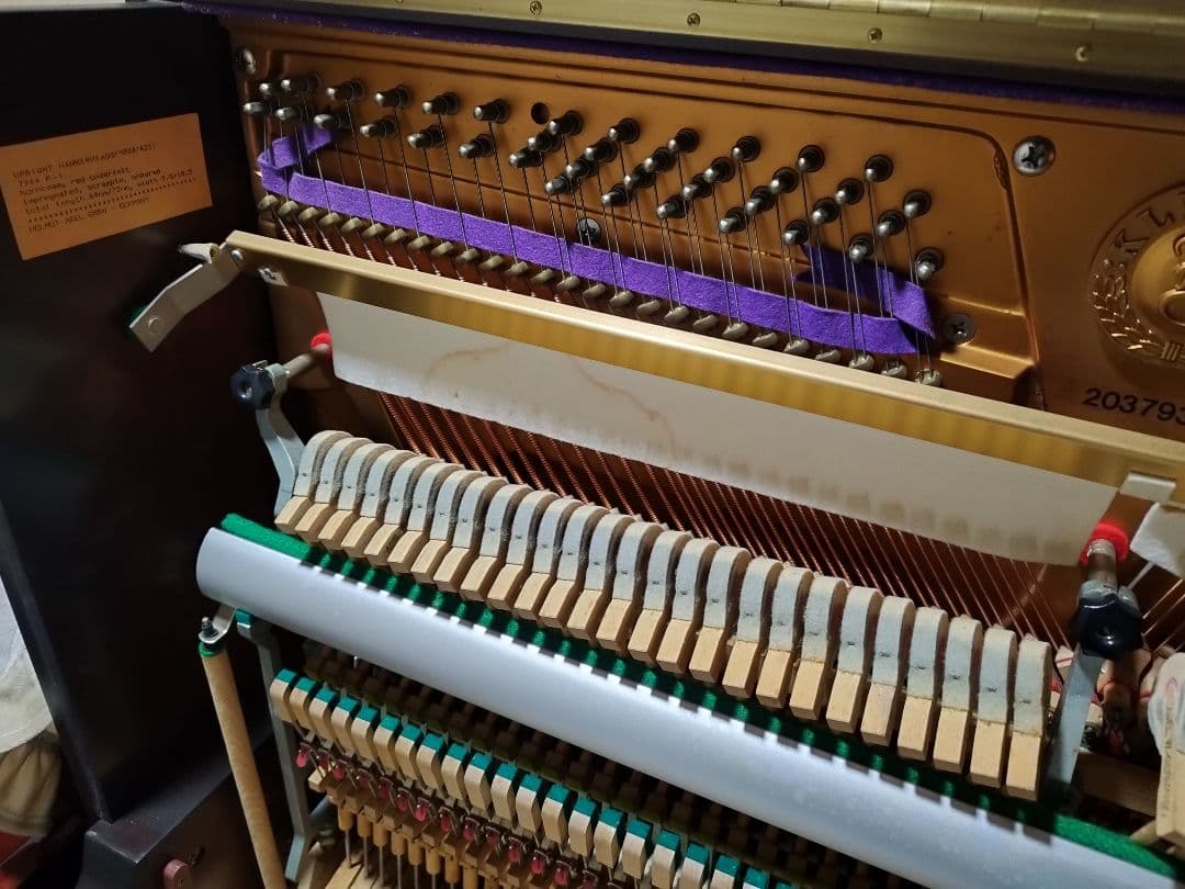 【希少】Klingel 黒檀 鍵盤