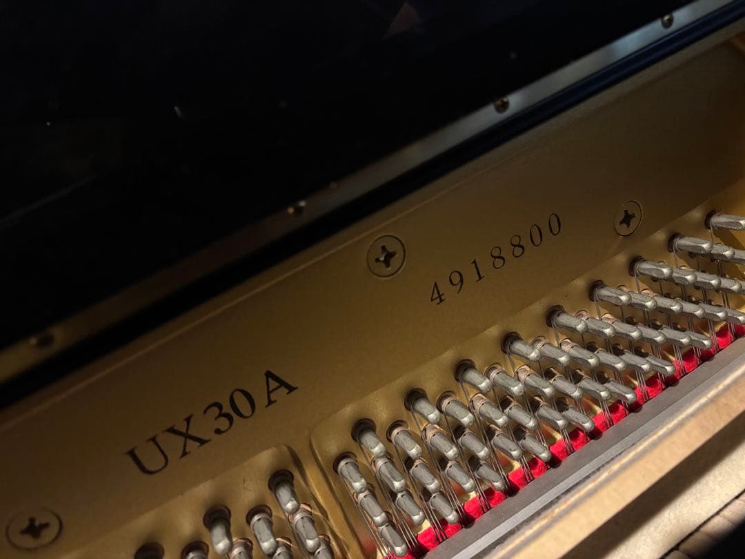 Yamaha Piano Control Unit ピアノプレーヤシステム