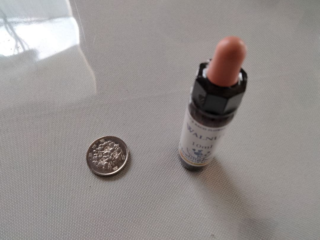 kazunoページ■52000+16700=68700ヒーリングハーブス社