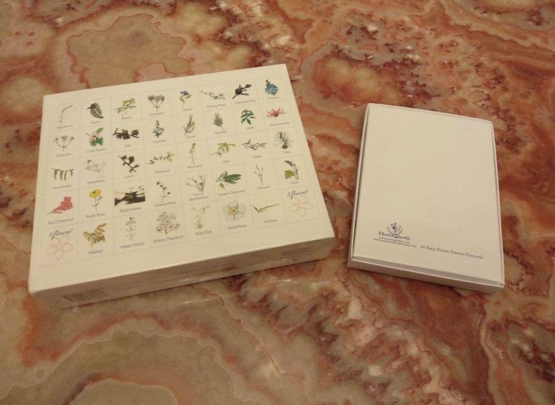 kazunoページ■52000+16700=68700ヒーリングハーブス社