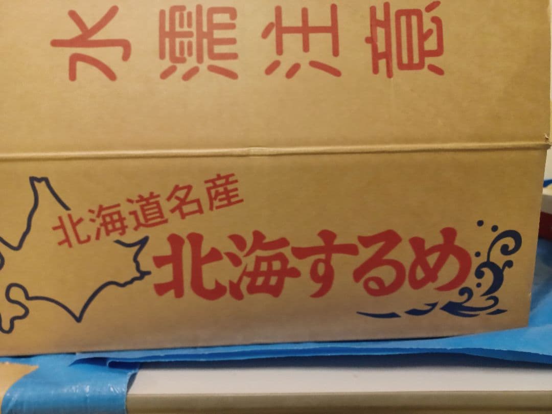 と*ろ様 【大容量:10kg 】ダイエットにも最適な大好評珍味 真イカするめS足