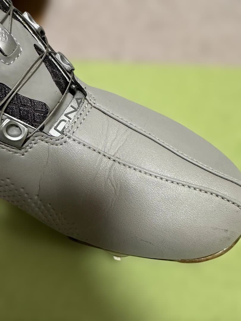 【逸品】FootJoy DNA BOA 25cm アダムスコット愛用 美品