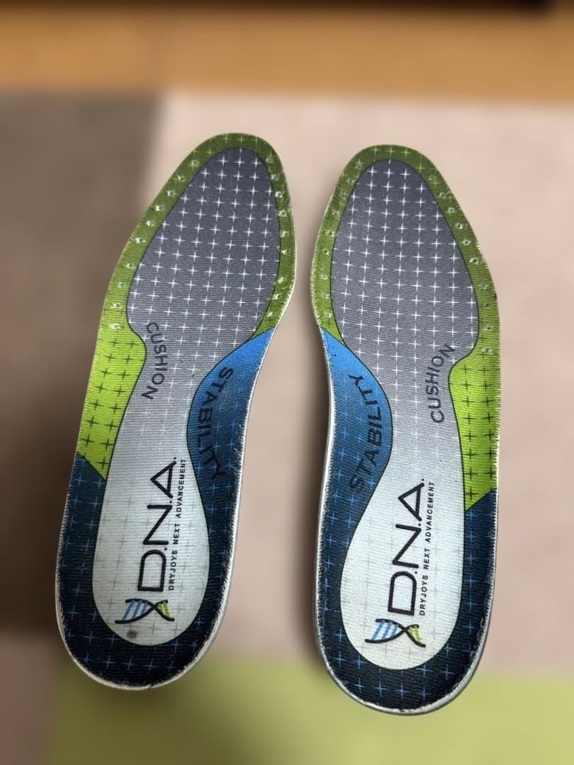 【逸品】FootJoy DNA BOA 25cm アダムスコット愛用 美品