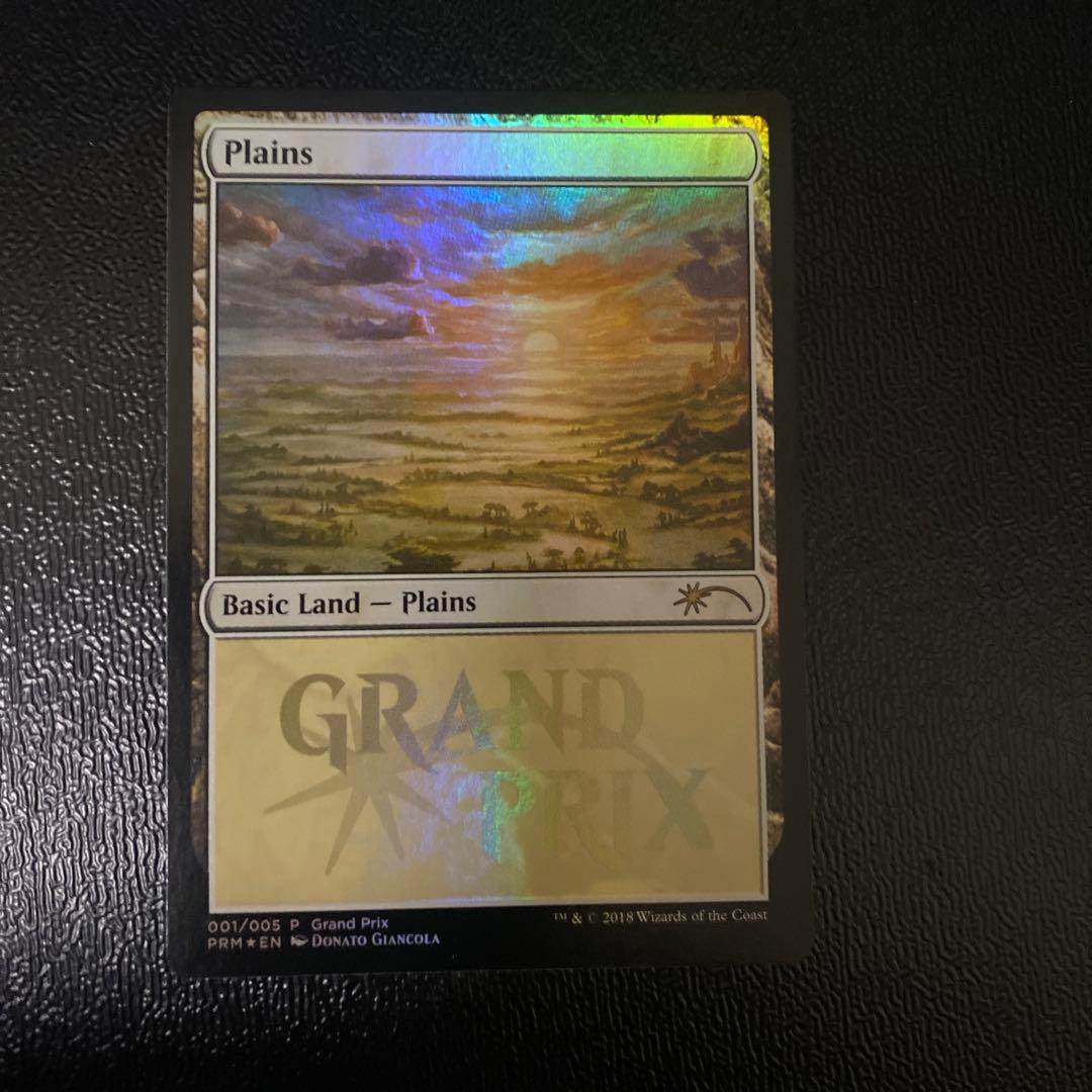 MTG 2018年GPプロモ基本土地FOIL5枚。　5セット