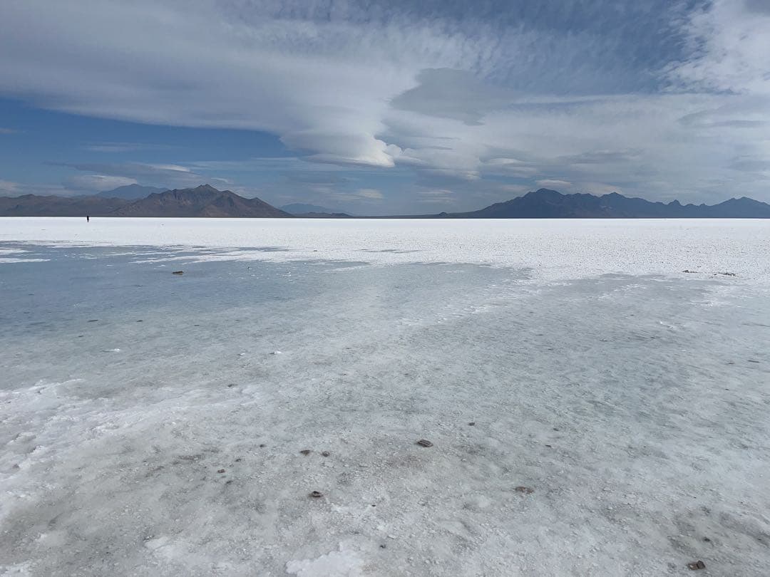 ★週末SALE　エンハンサー6本