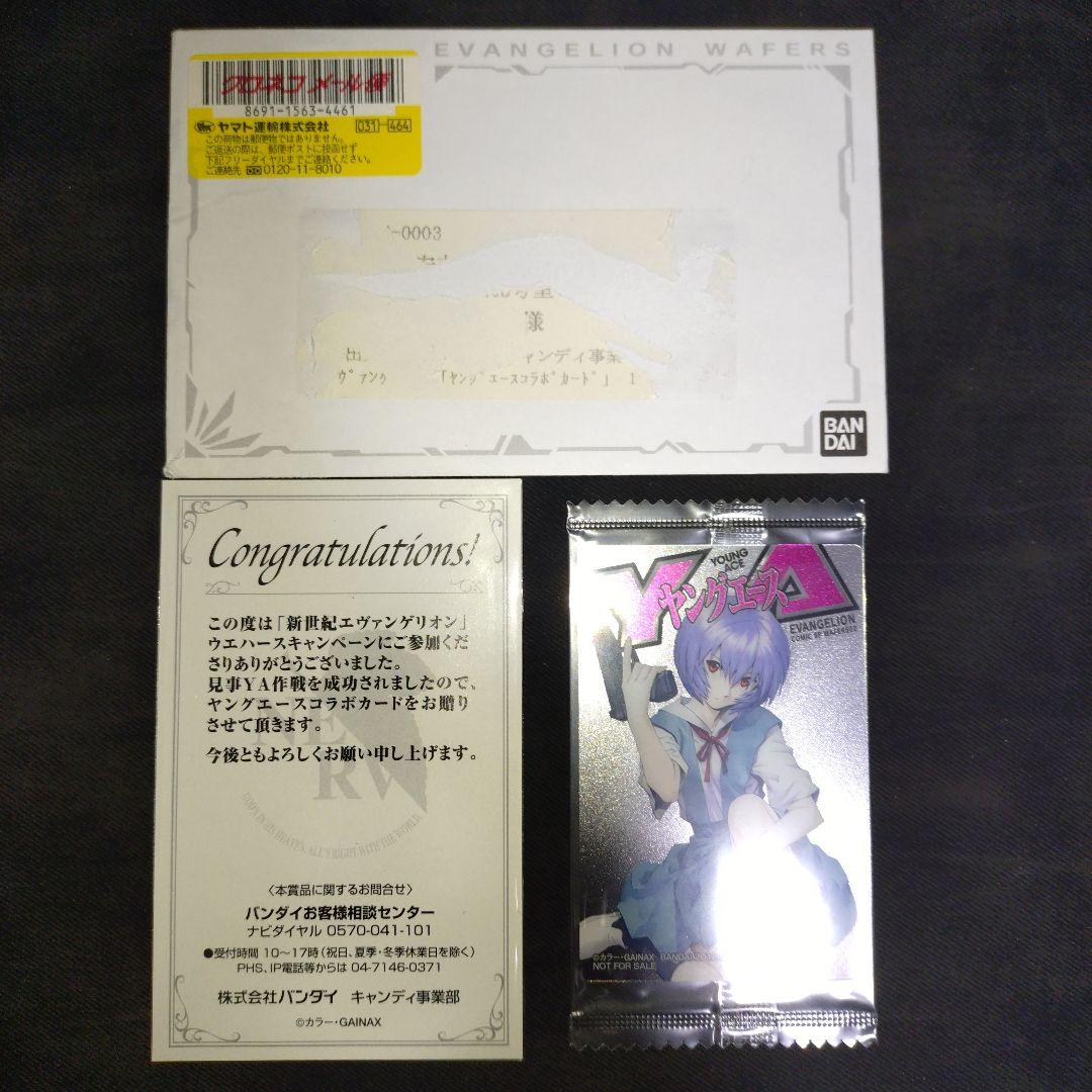 綾波レイ　ヤングエース　カード　当選品　5000枚　封筒付き　希少