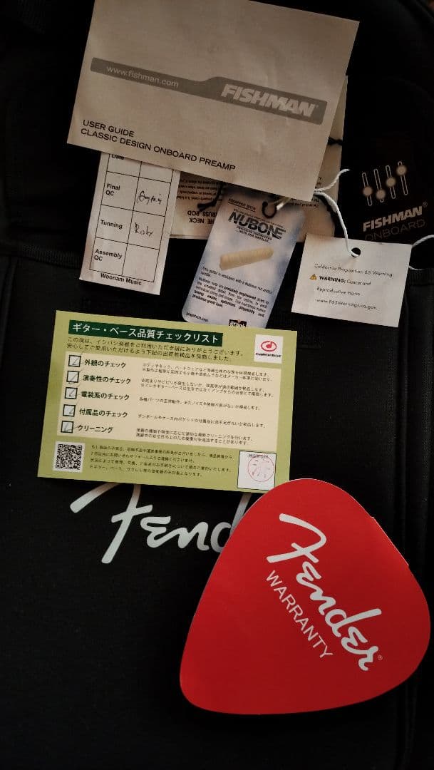 ギター Fender Newporter Player SB WN