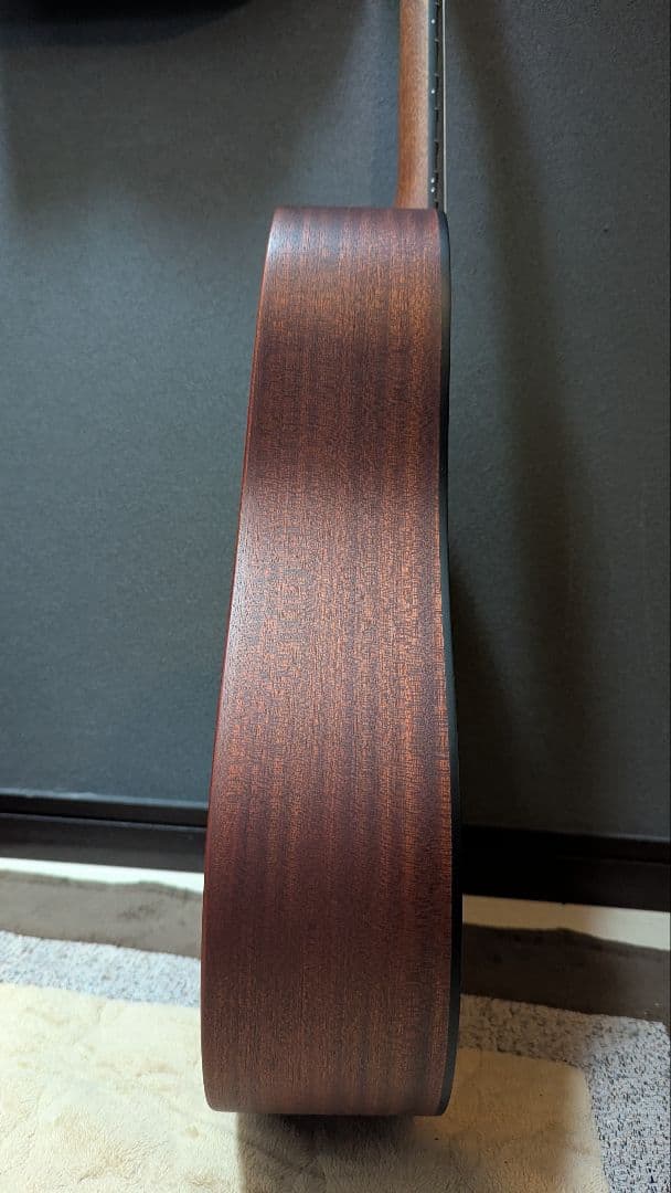 Martin & Co. アコースティックギター