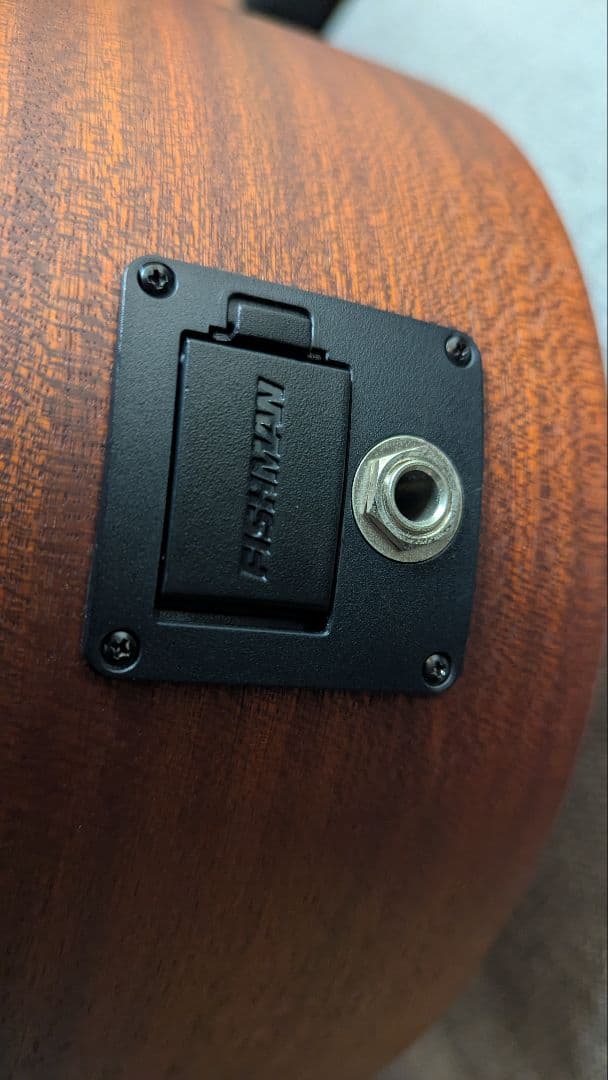 Martin & Co. アコースティックギター