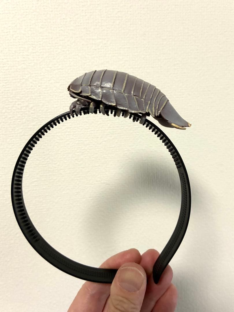 ダイオウグソクムシ　カチューシャ