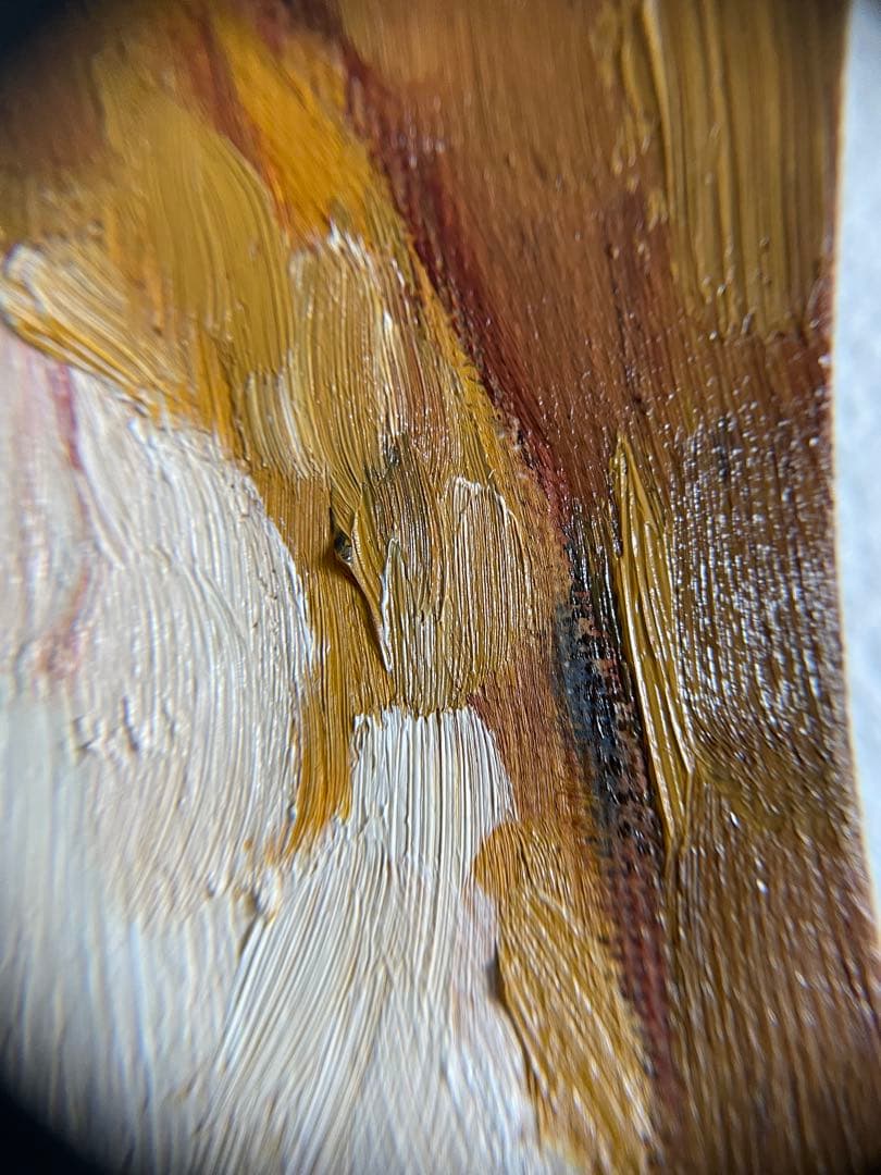 《静かに座る猫》原画｜油彩・キャンバス｜20×20cm｜2025｜一点物