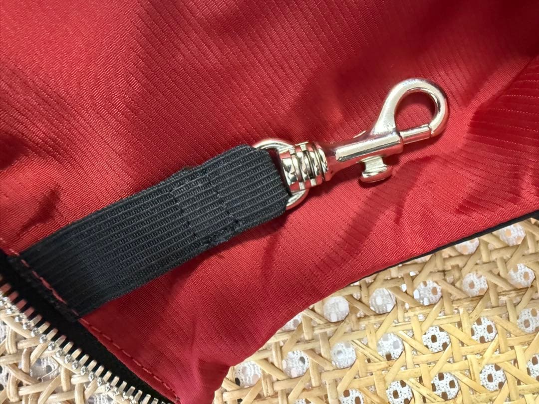 SALE❣️CHANEL シャネル　犬　ドッグキャリーバッグ　旧トラベルライン