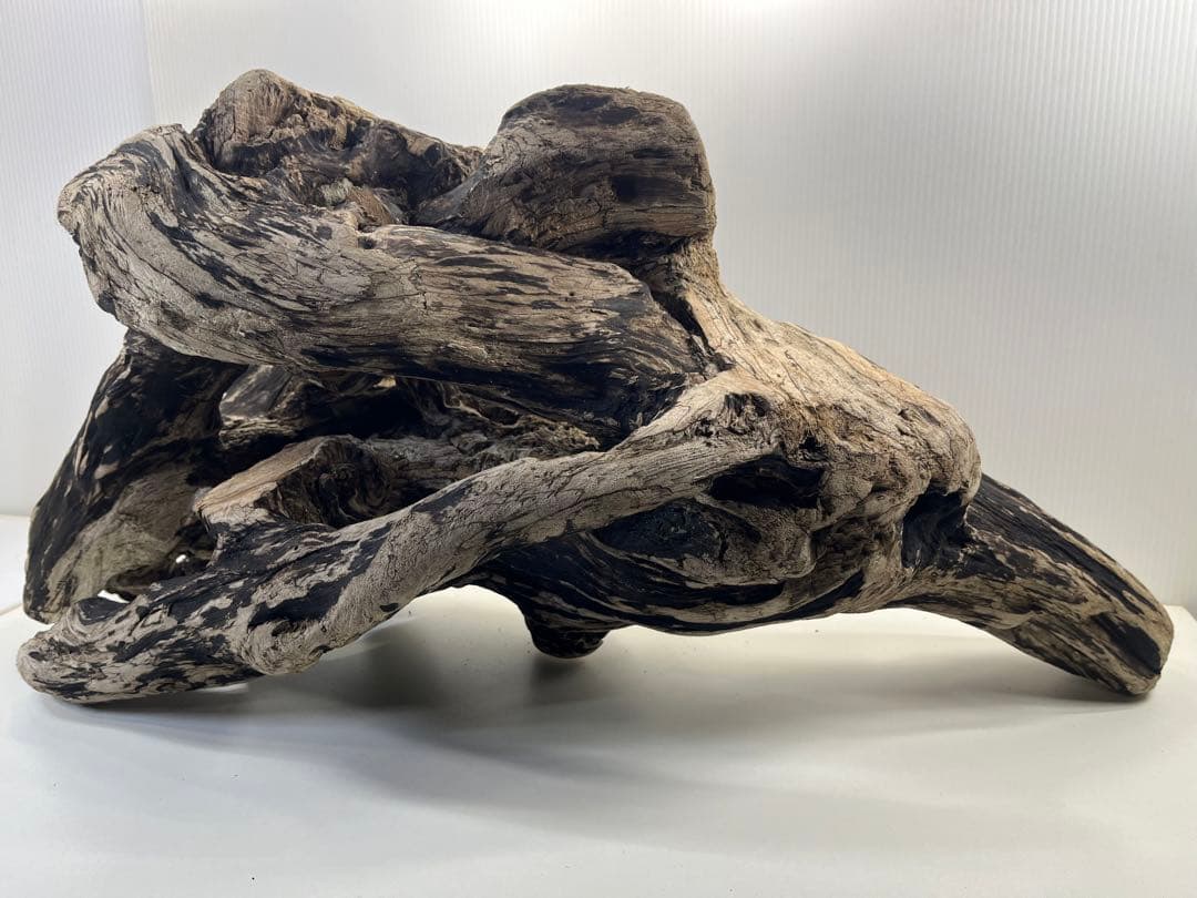 m46特大流木 大型流木 アク抜き済み 爬虫類シェルター レイアウト用 隠れ家
