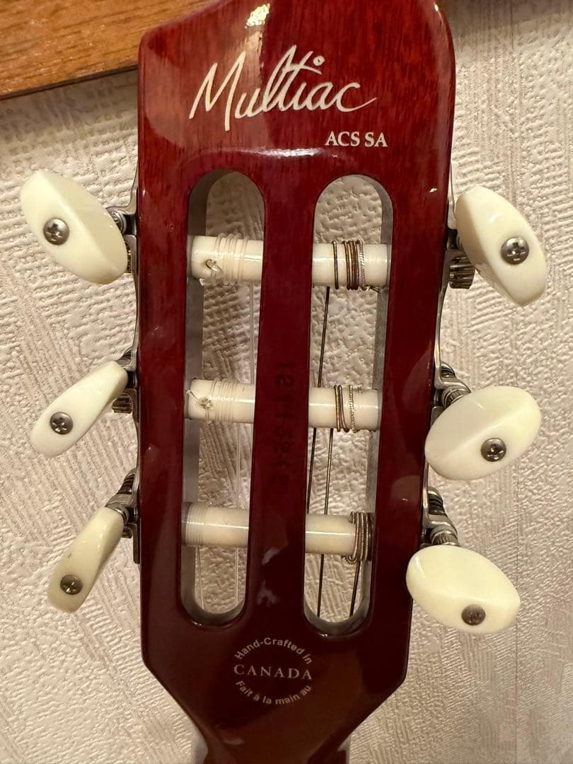 モツ様 Godin Multiac Nylon Encore Natural