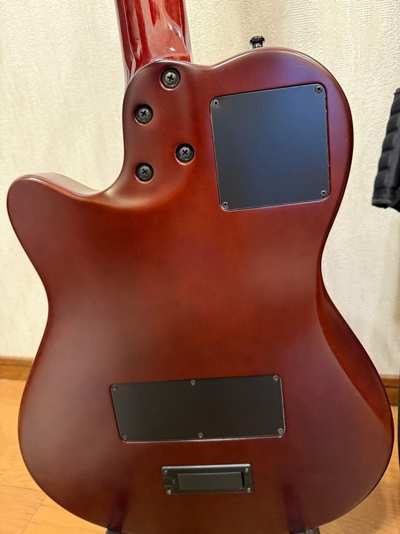 モツ様 Godin Multiac Nylon Encore Natural