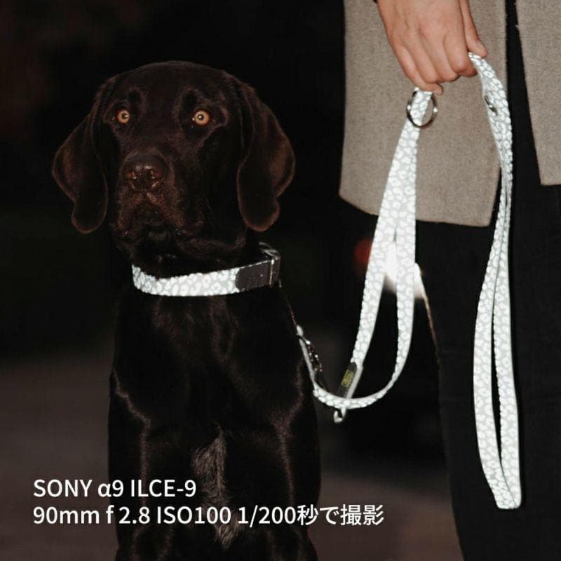 ハンター 犬用 リード トレーニングリード コンビニエンス リフレクト グロー