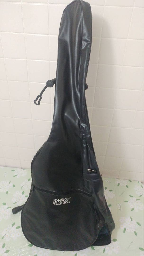 ANBOY REG20N ミニ アコースティックギター クラシック ガット 軽量