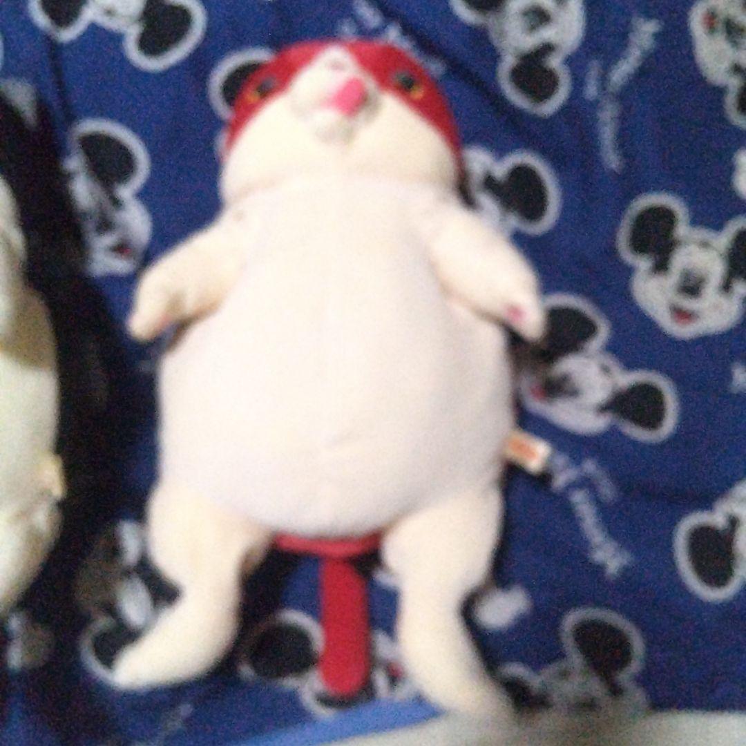 今日までこの値段です２月～全部値段上がります高橋ヒロムぬいぐるみ ２匹セット