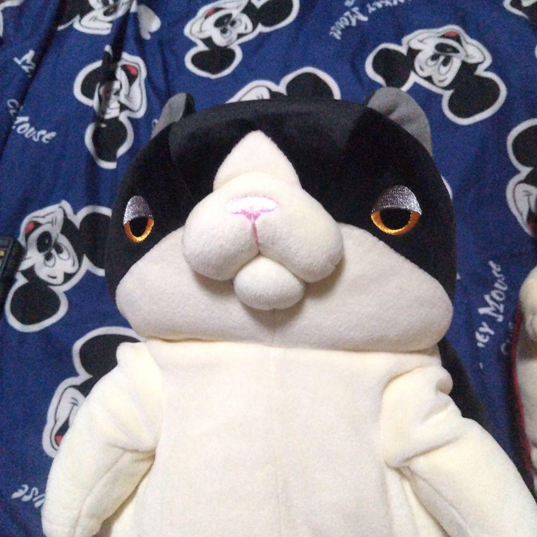 今日までこの値段です２月～全部値段上がります高橋ヒロムぬいぐるみ ２匹セット