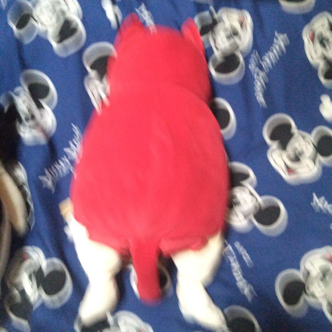 今日までこの値段です２月～全部値段上がります高橋ヒロムぬいぐるみ ２匹セット