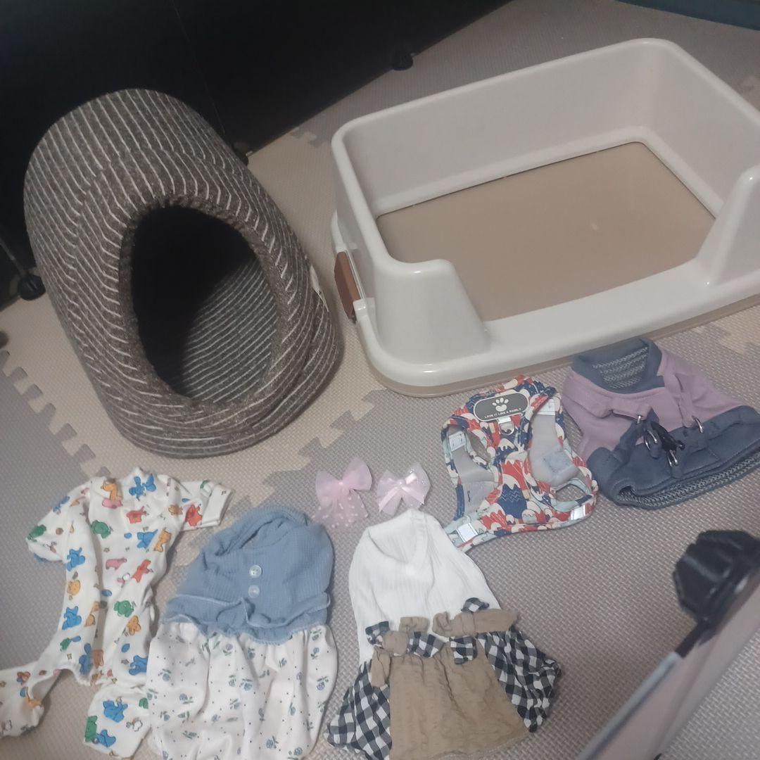 子犬セット　Wi-Fiペットカメラおまけ