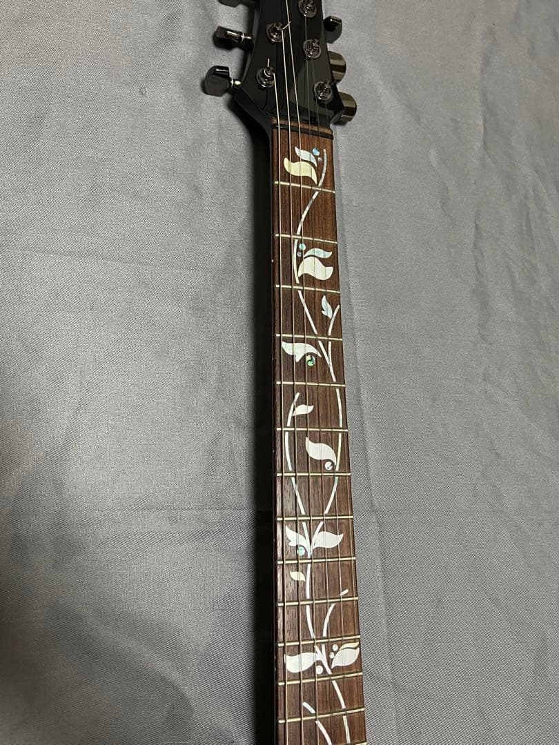 EVO alumi evolution アルミ ギター サスティナー搭載