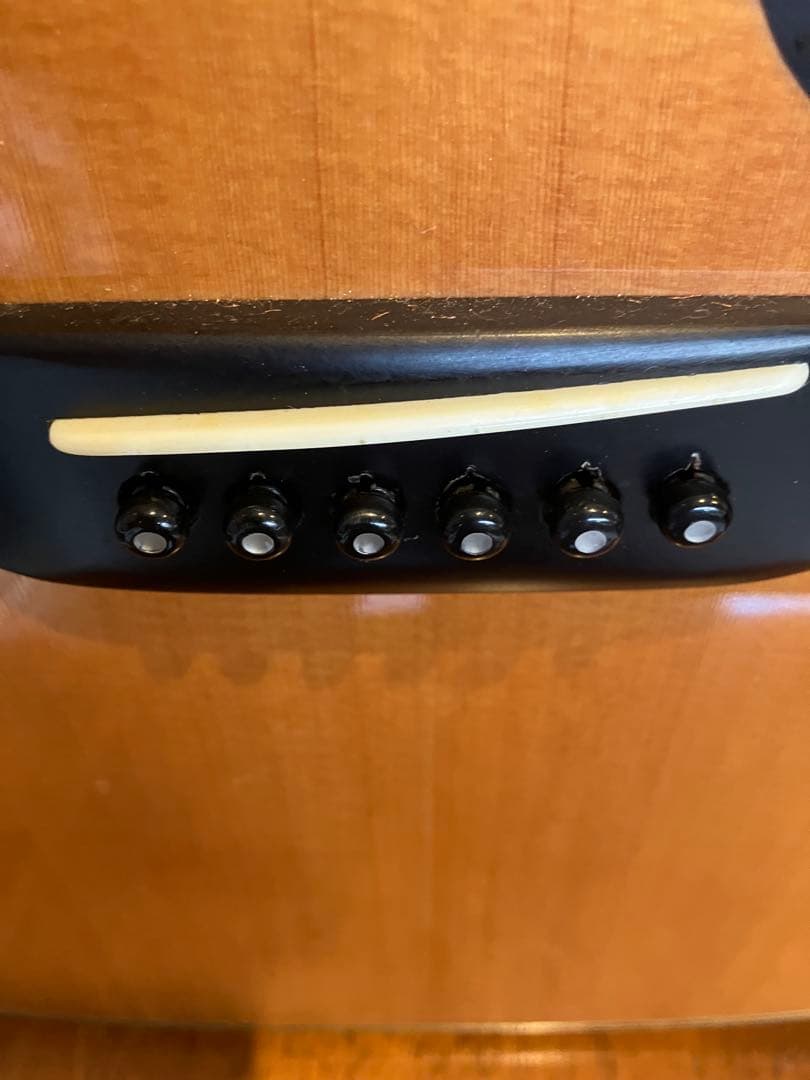 Morris W70 アコースティックギター