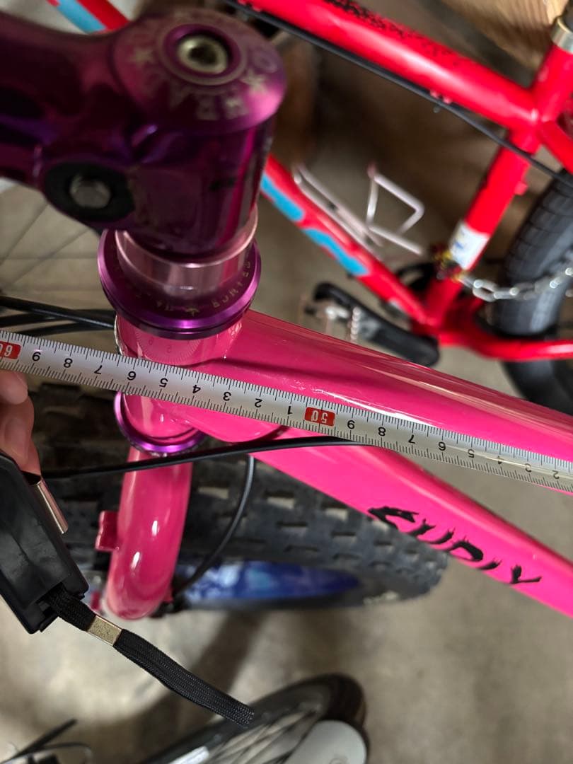 最終価格SURLY Pugsley MTB カスタム車　引き取り希望