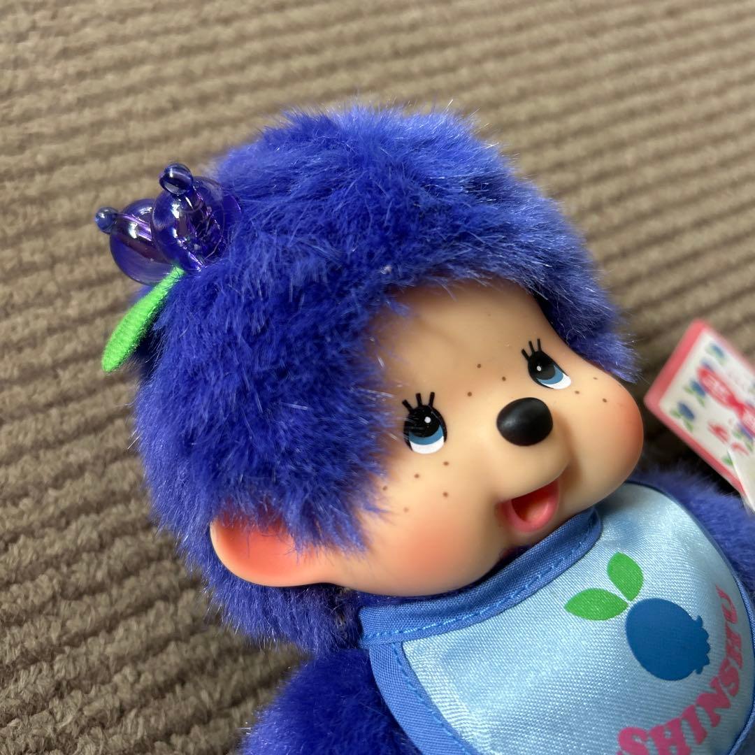 ご当地　信州限定　モンチッチ　未使用