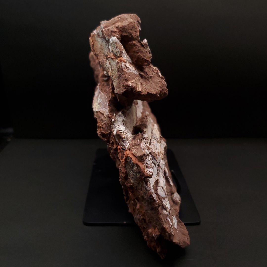 オヴィラプトル類 足 骨 本物 化石 中国産 208.95mm fr155