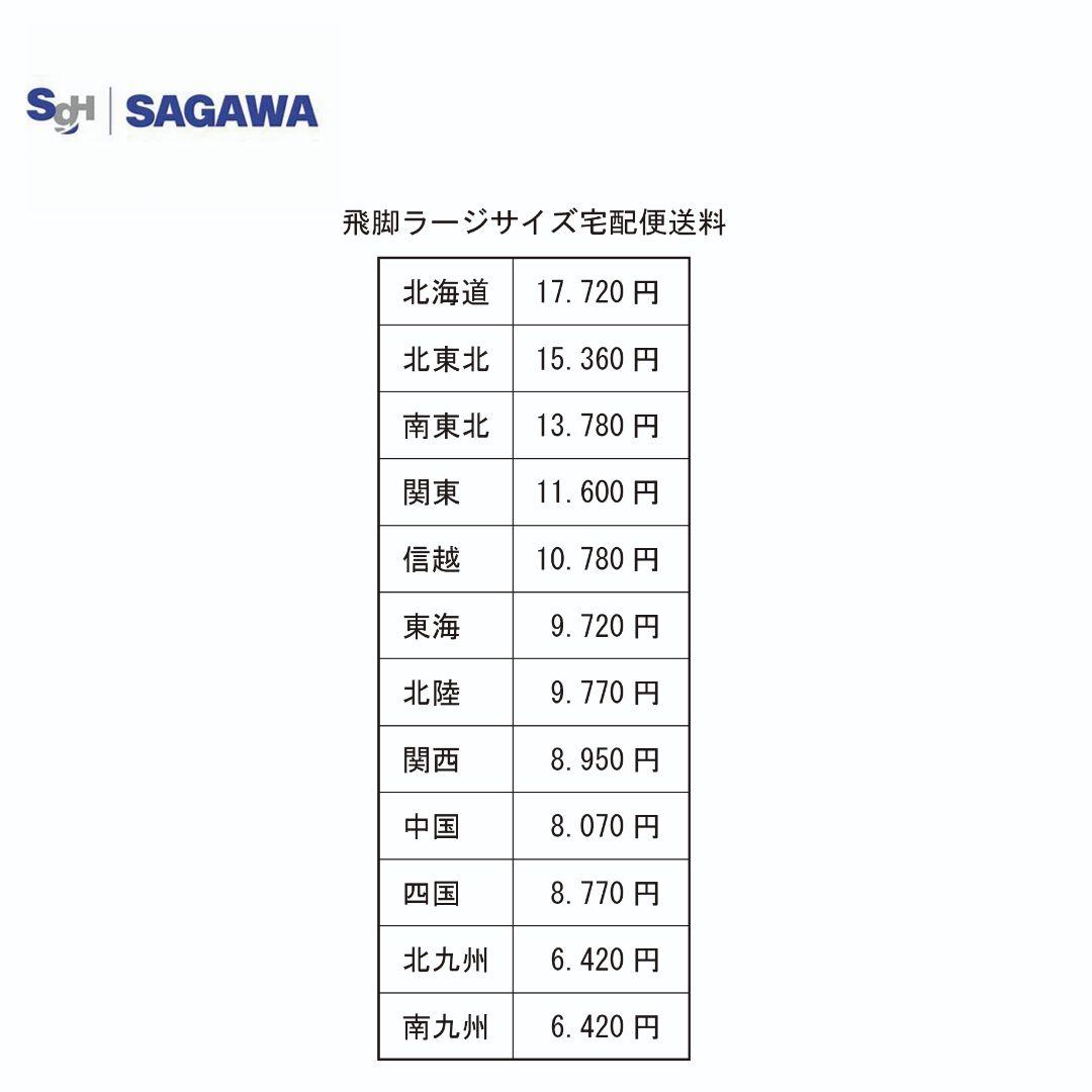 Bianchi ROMA4 サイズ50cm [オーバーホール済]
