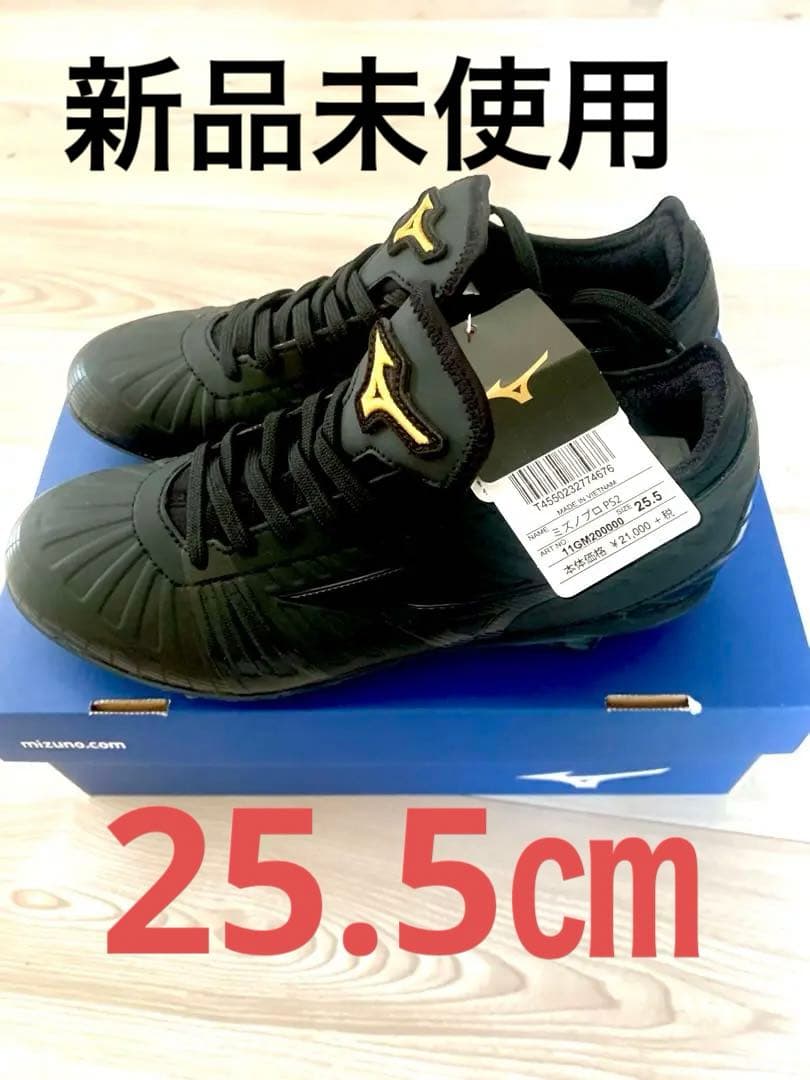 ミズノプロ　PS2