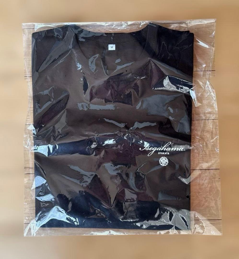 大相撲　グッズ　セット