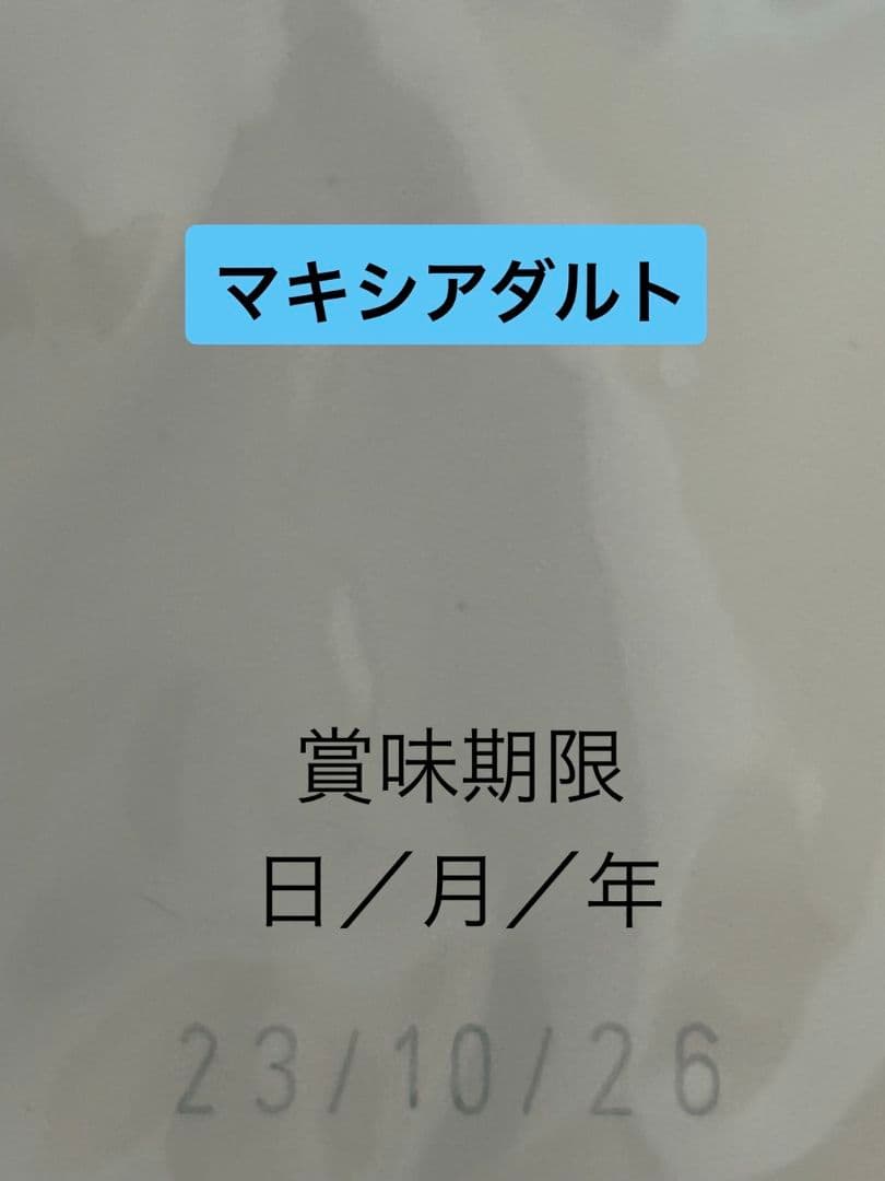  CANIN 　マキシアダルト ドライフード 16kg