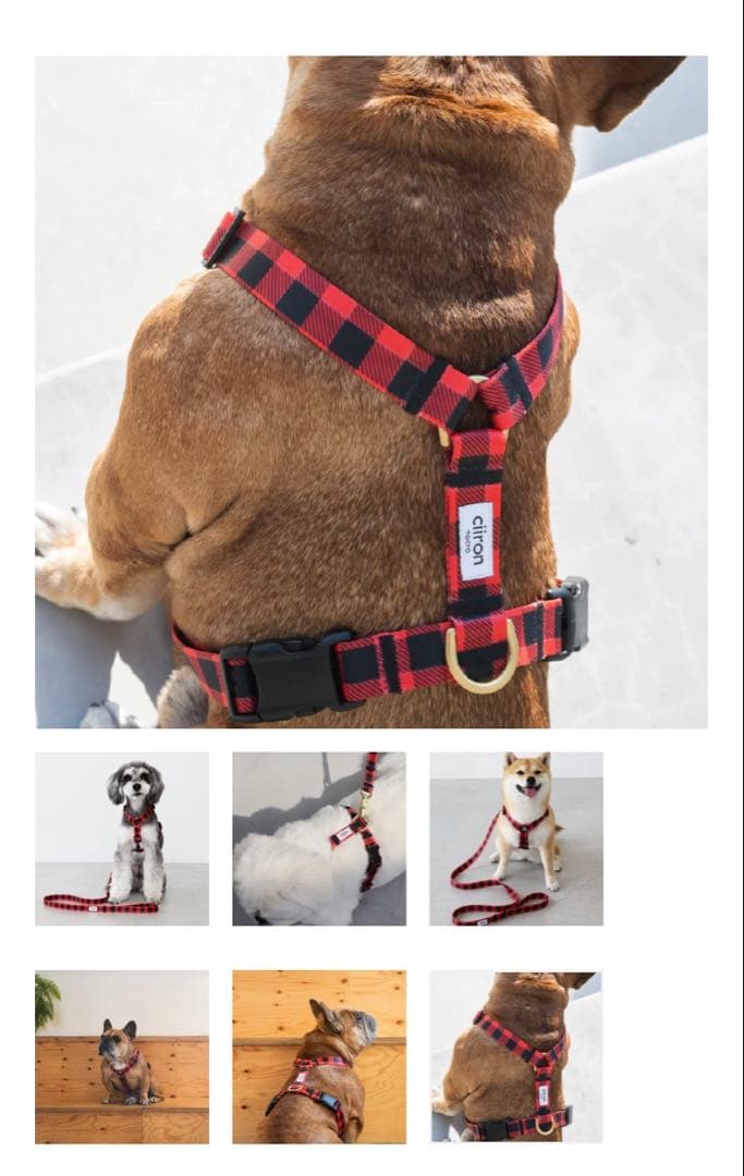 ciiron 赤黒チェック ハーネスリードセット　サイズS