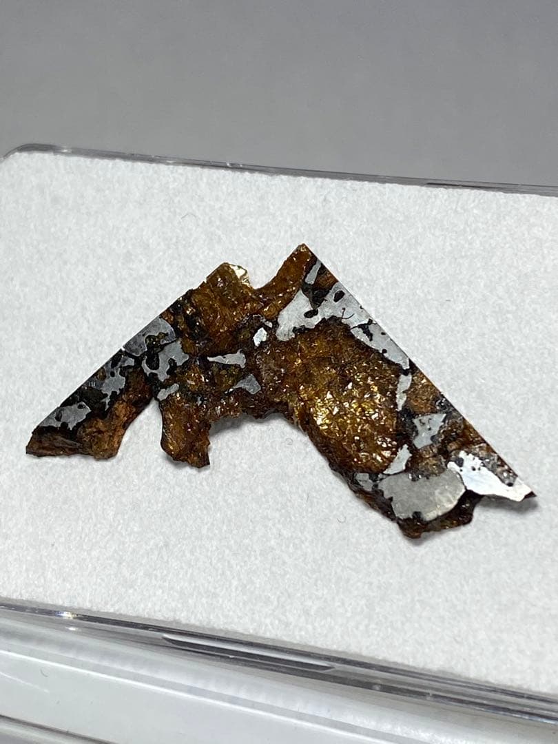 パラサイト隕石　Hassi el Biod 002　スライス　ケース　証明書付き