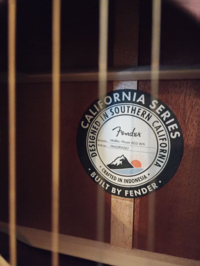 Fender アコースティックギター Acoustic Malibu フェンダー