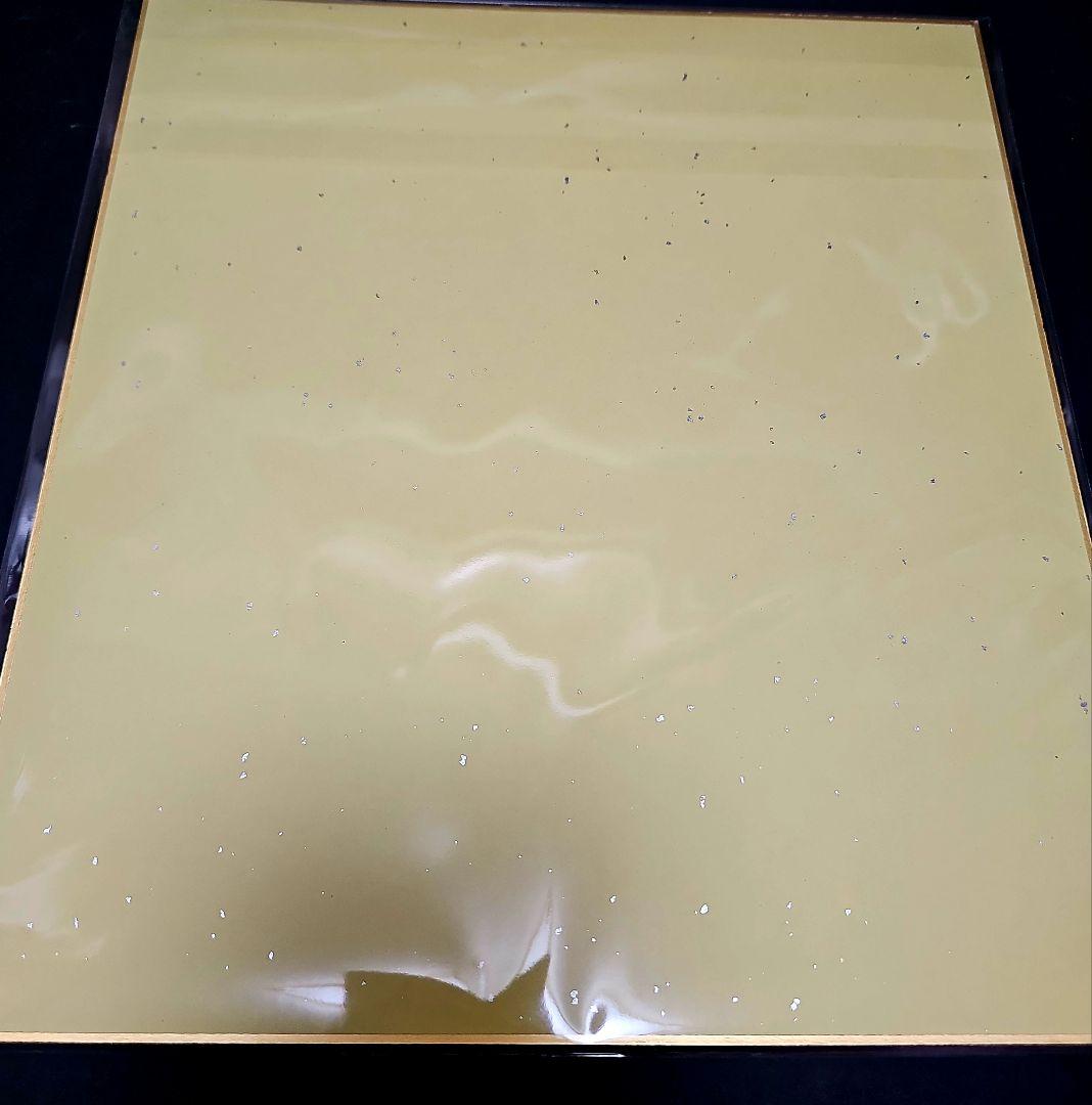 ONE PIECE ワンピース モンキー・D・ルフィ イラスト 直筆サイン色紙