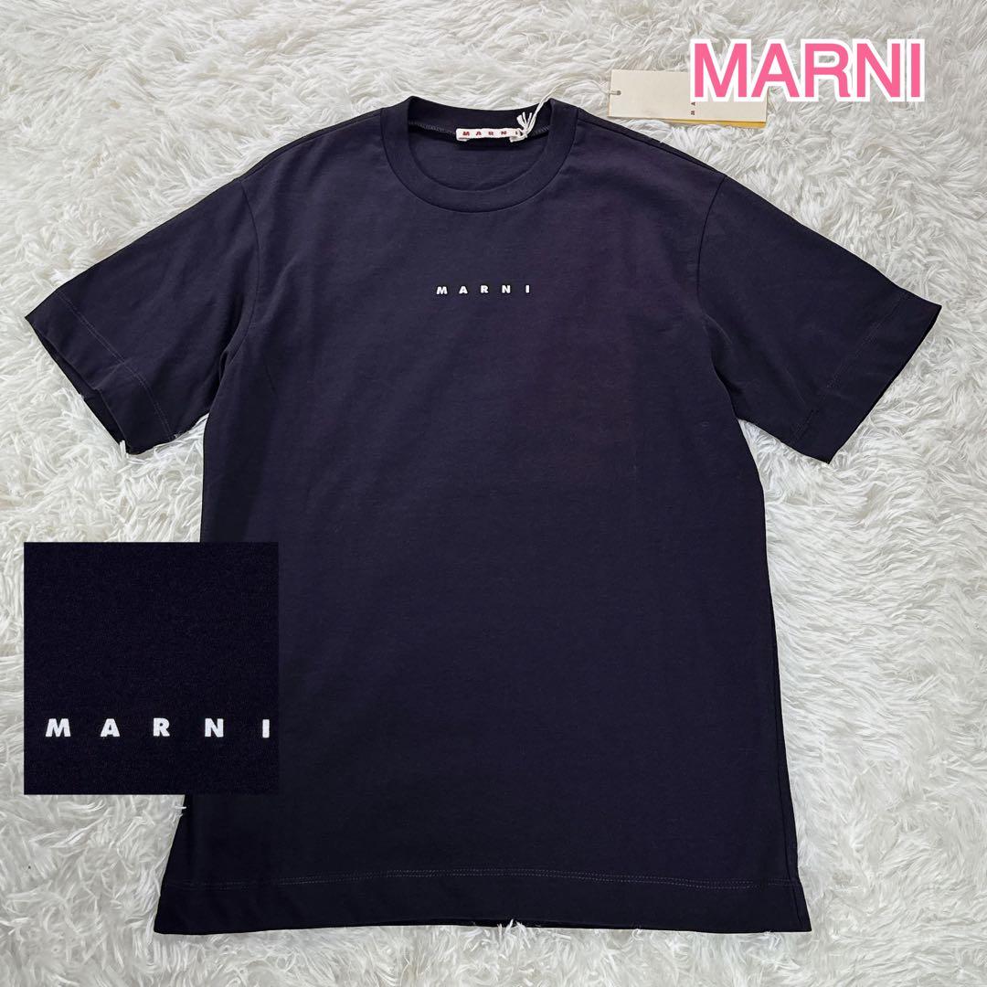 新品タグ付✨ 大人もOK！マルニ　キッズTシャツ　12Y 150 紺 25SS