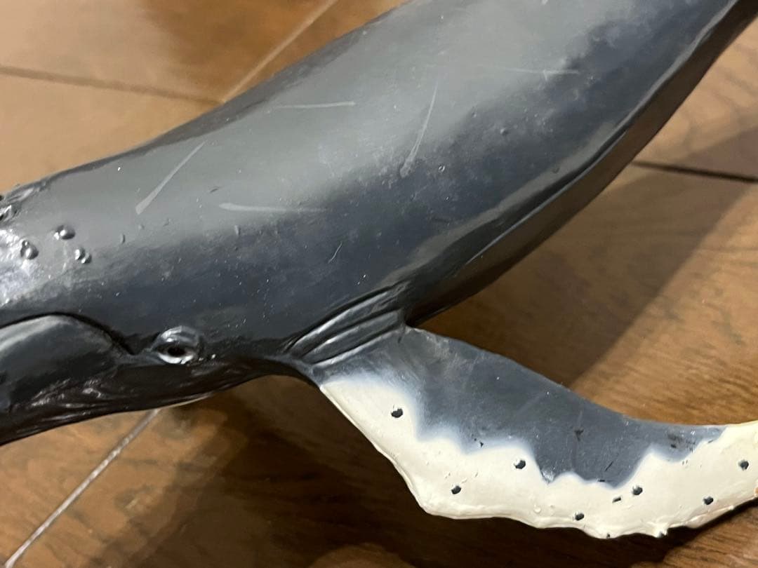 鯨　フィギュア　模型　ザトウクジラ　置物