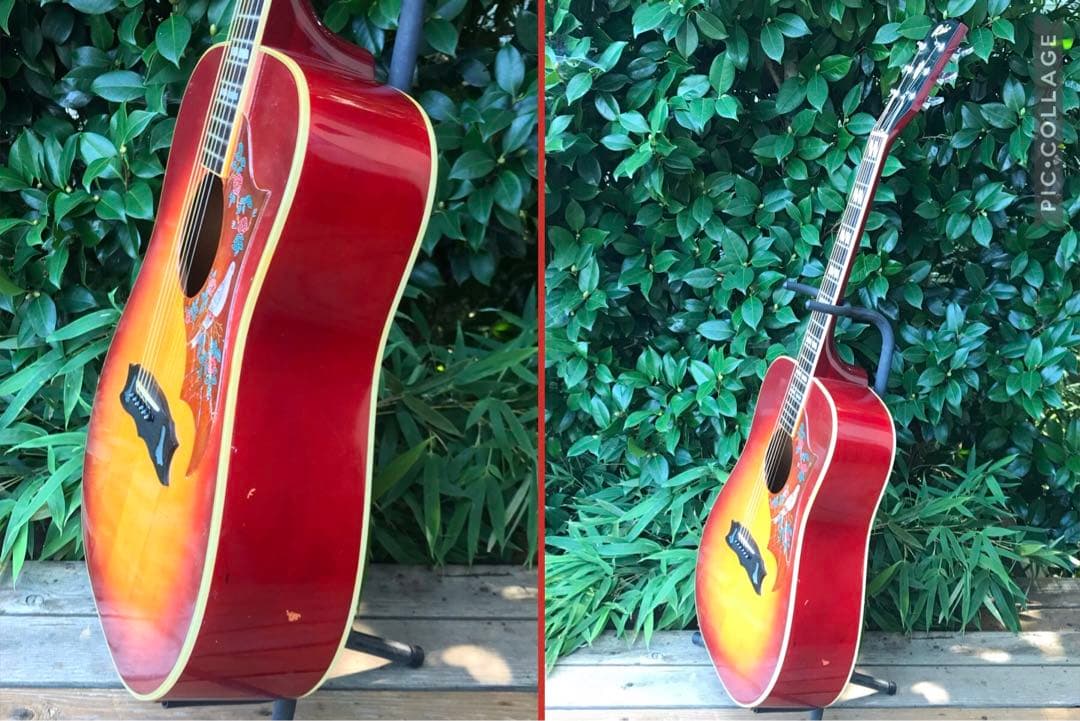 Rider J-300DS Model ライダー 林楽器